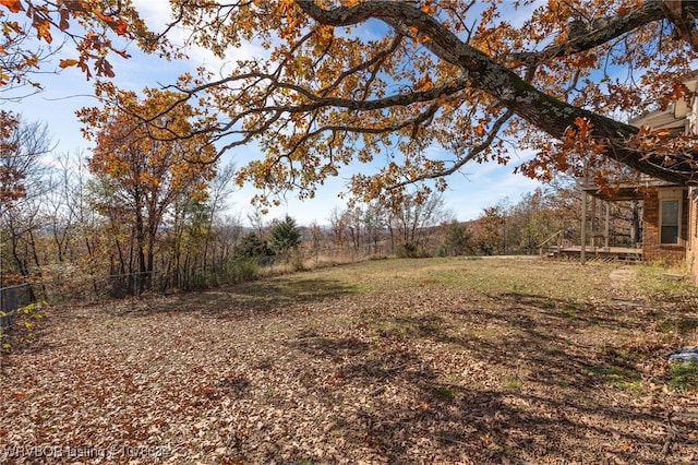 view of yard