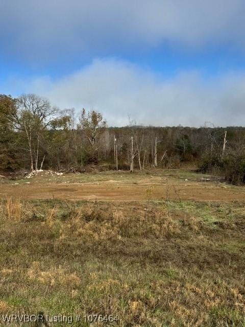 12535 E State Highway 22, Subiaco AR, 72865 land for sale