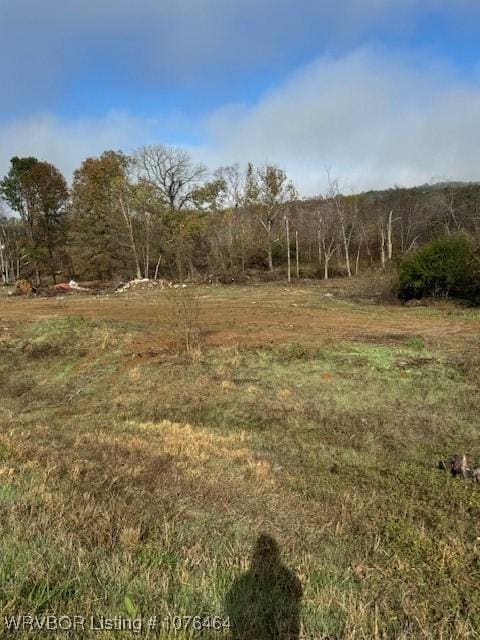 Listing photo 3 for 12535 E State Highway 22, Subiaco AR 72865