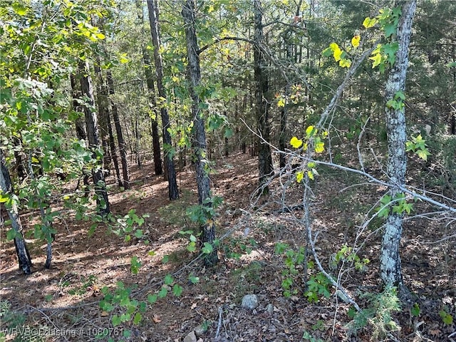 26699-1 Muse Rd, Muse, OK 74949 - photo 13