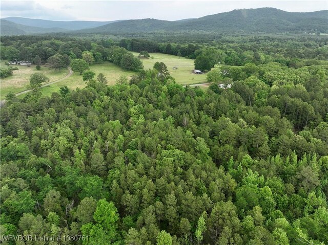 26699-1 Muse Rd, Muse, OK 74949 - photo 5