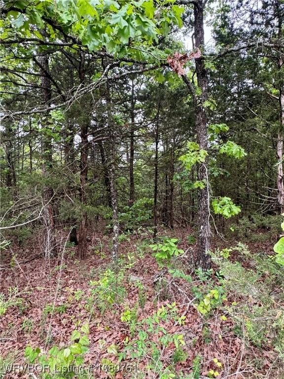 26699-1 Muse Rd, Muse, OK 74949 - photo 12