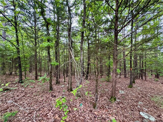 26699-1 Muse Rd, Muse, OK 74949 - photo 10