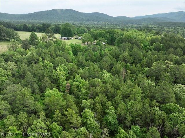 26699-1 Muse Rd, Muse, OK 74949 - photo 4