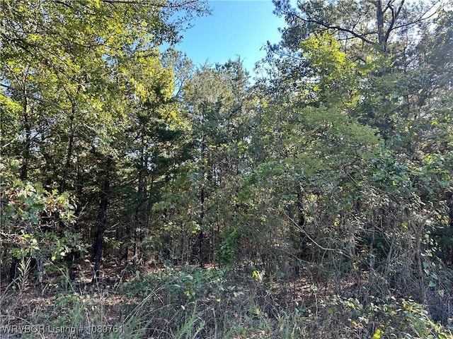 26699-1 Muse Rd, Muse, OK 74949 - photo 14