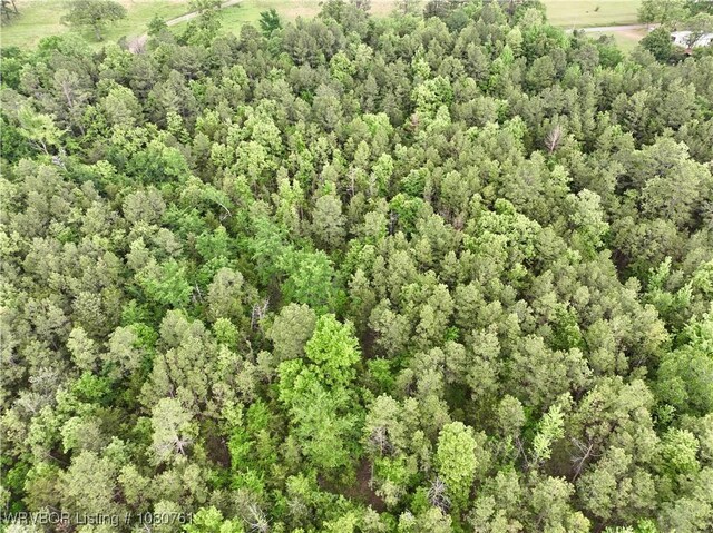 26699-1 Muse Rd, Muse, OK 74949 - photo 6