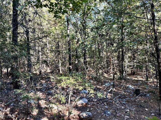 26699-1 Muse Rd, Muse, OK 74949 - photo 15