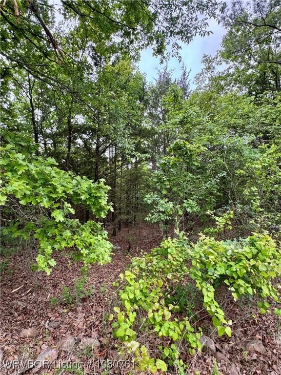 26699-1 Muse Rd, Muse, OK 74949 - photo 9