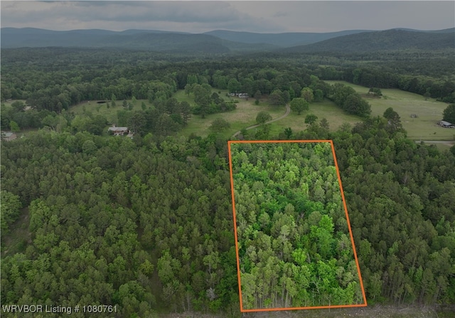 26699-1 Muse Rd, Muse, OK 74949 - photo 1