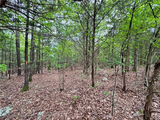 26699-1 Muse Rd, Muse, OK 74949 - photo 11