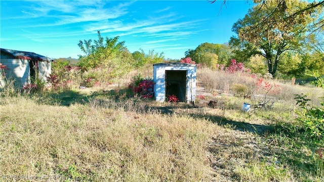 view of yard with a storage shed