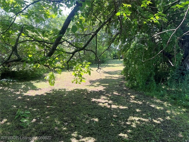 view of landscape