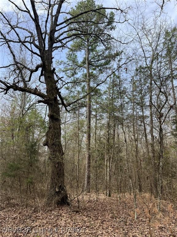 TRACT3 E 1980th Rd, Spencerville, OK 74760