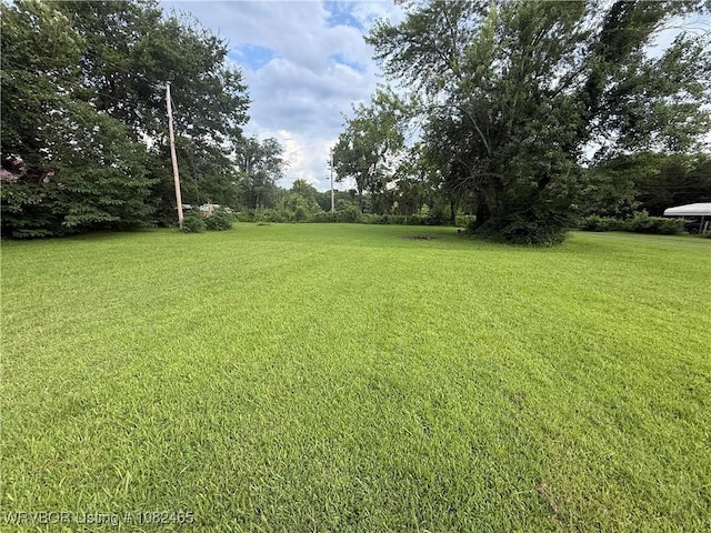 702 Cemetery Rd, Dyer, AR 72921 - photo 8