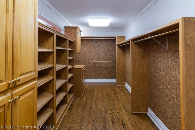 spacious closet featuring dark wood-type flooring