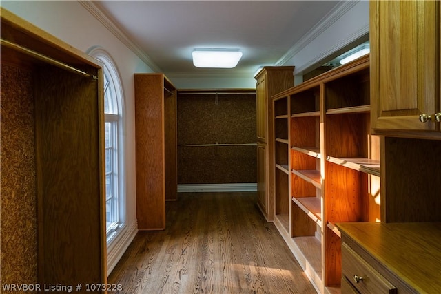 walk in closet with dark hardwood / wood-style floors