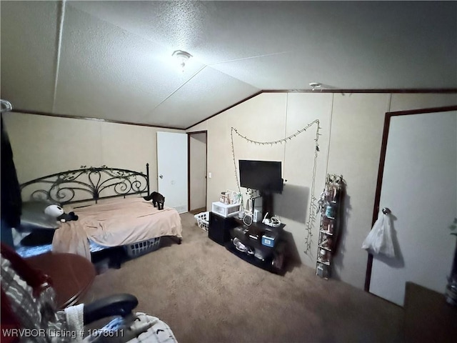205 Lee Ordner, Panama, OK 74951 - bedroom with carpet floors and vaulted ceiling