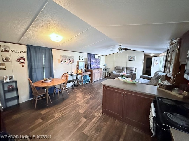 205 Lee Ordner, Panama, OK 74951 - kitchen with lofted ceiling, electric range, a textured ceiling, a ceiling fan, and dark wood-style flooring