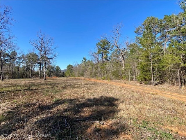 Listing photo 3 for TBDLOT2 W Hartford Rd, Hartford AR 72938