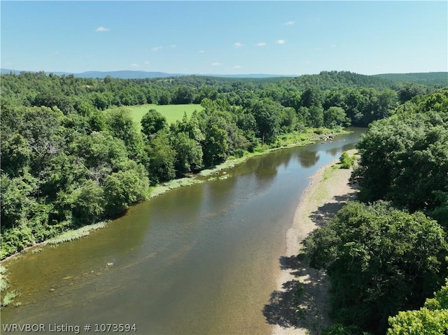 2985 River Fish Rd, Watson, OK 74963 - photo 41