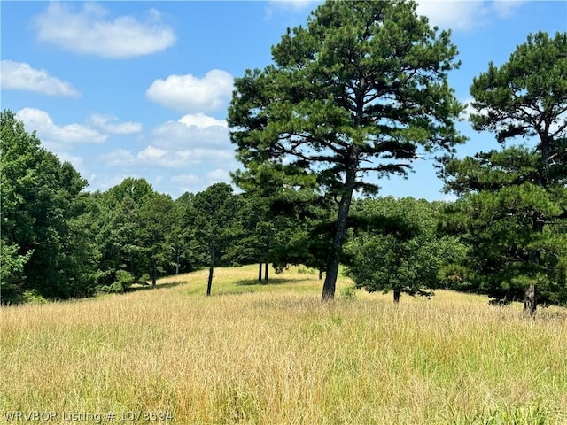 2985 River Fish Rd, Watson, OK 74963 - photo 37