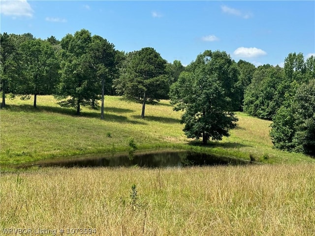 2985 River Fish Rd, Watson, OK 74963 - photo 36
