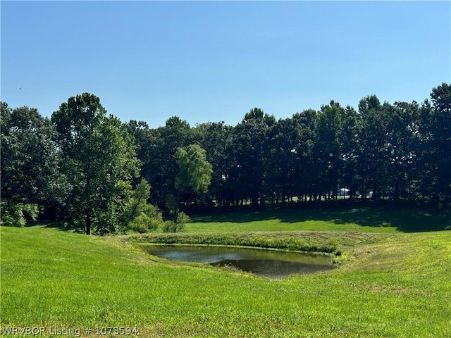 2985 River Fish Rd, Watson, OK 74963 - photo 3