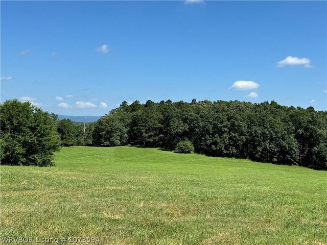 2985 River Fish Rd, Watson, OK 74963 - photo 18