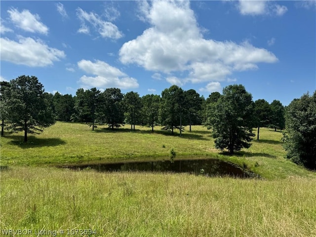 2985 River Fish Rd, Watson, OK 74963 - photo 38