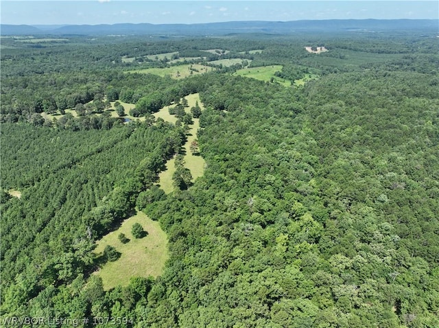 2985 River Fish Rd, Watson, OK 74963 - photo 45