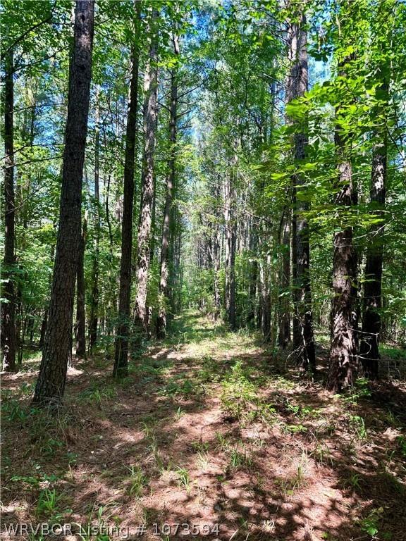 2985 River Fish Rd, Watson, OK 74963 - photo 34
