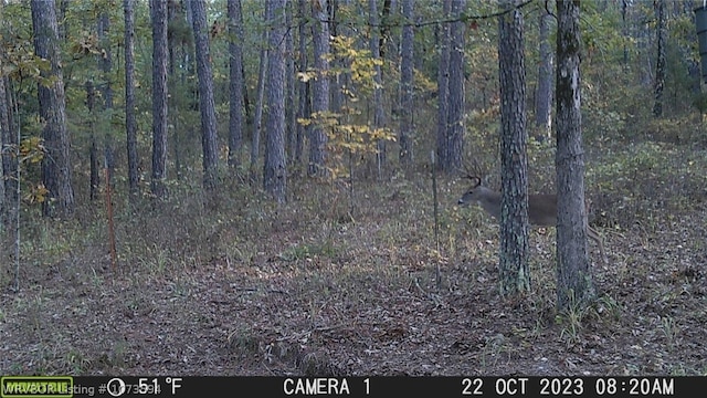 2985 River Fish Rd, Watson, OK 74963 - photo 48