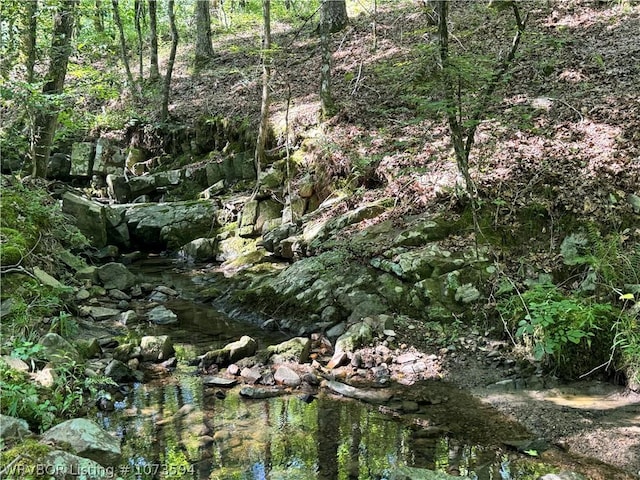 2985 River Fish Rd, Watson, OK 74963 - photo 10