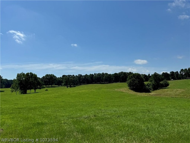 2985 River Fish Rd, Watson, OK 74963 - photo 21