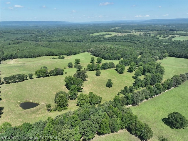 2985 River Fish Rd, Watson, OK 74963 - photo 2