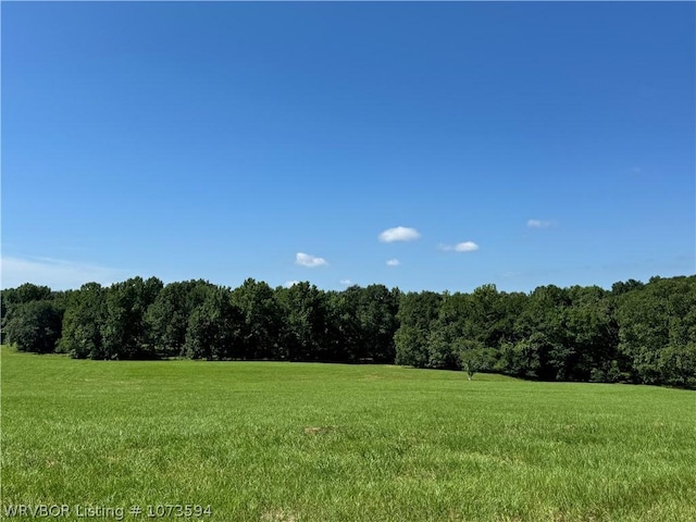 2985 River Fish Rd, Watson, OK 74963 - photo 17