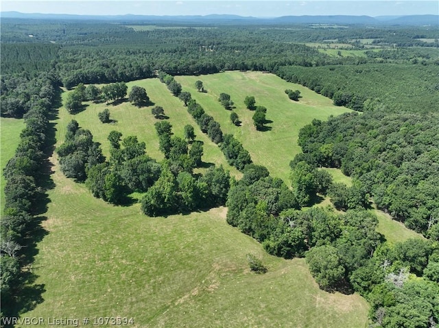 2985 River Fish Rd, Watson, OK 74963 - photo 43