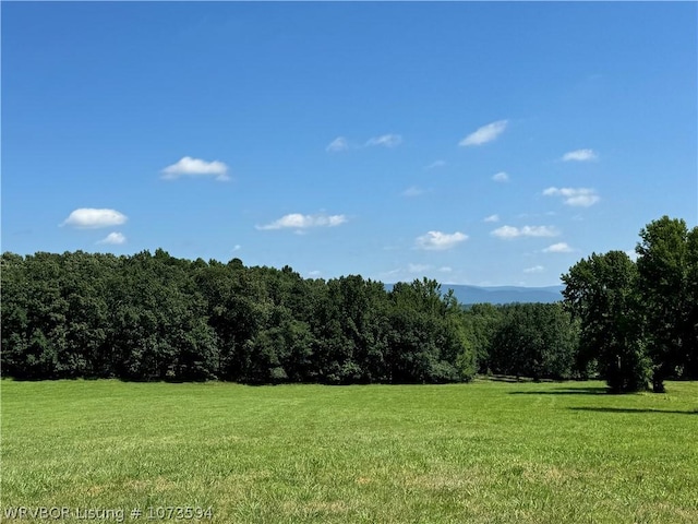 2985 River Fish Rd, Watson, OK 74963 - photo 19