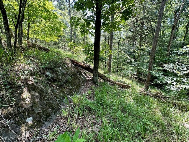 2985 River Fish Rd, Watson, OK 74963 - photo 35