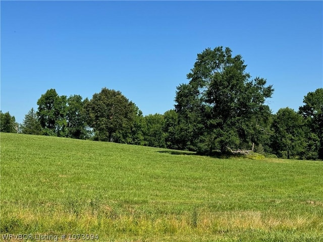 2985 River Fish Rd, Watson, OK 74963 - photo 8
