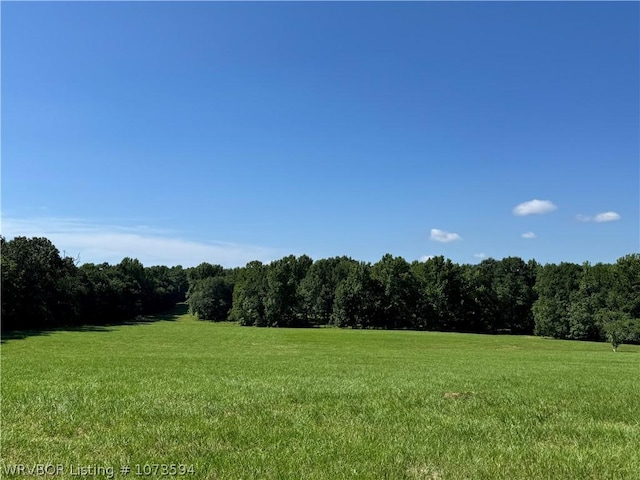 2985 River Fish Rd, Watson, OK 74963 - photo 15