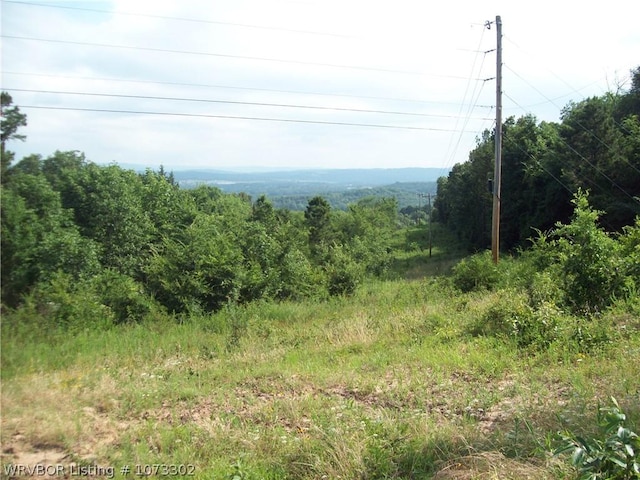 Listing photo 2 for TBD Puddin Ridge, Ozark AR 72949