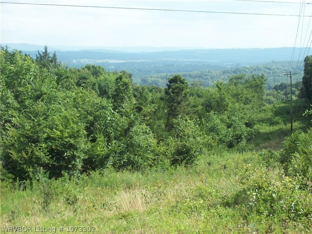 Listing photo 3 for TBD Puddin Ridge, Ozark AR 72949