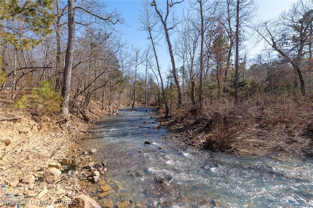 view of water feature