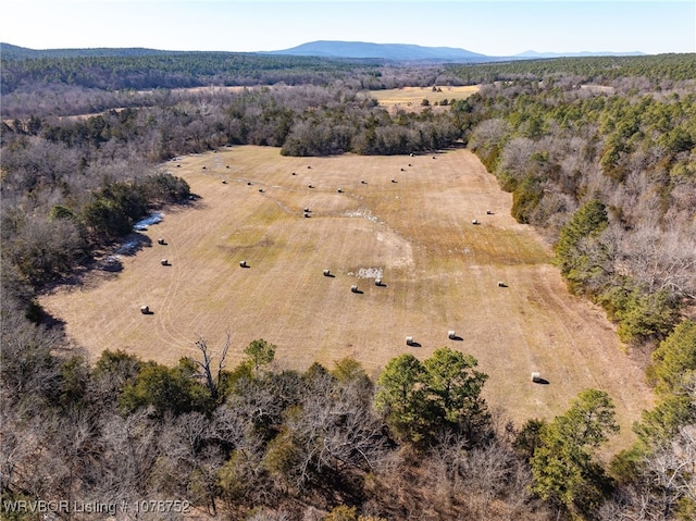 birds eye view of property featuring a mountain view