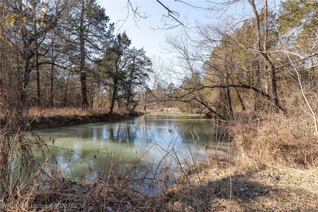 view of water feature