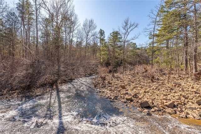 view of local wilderness