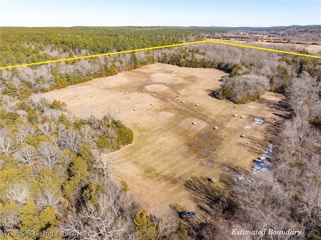 drone / aerial view featuring a rural view