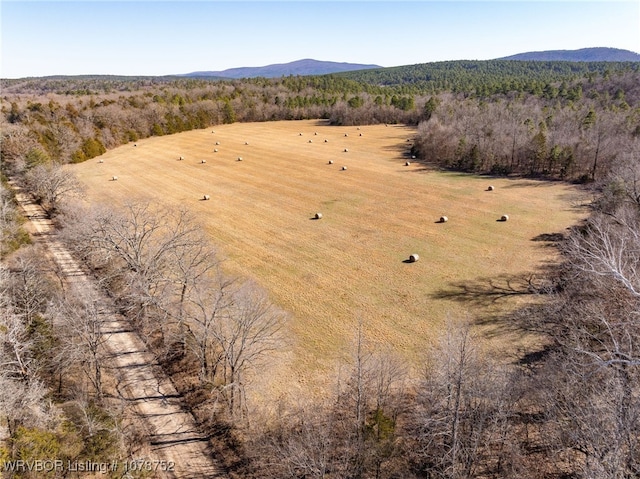 birds eye view of property with a mountain view