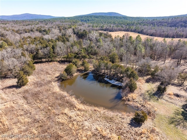 bird's eye view with a water and mountain view